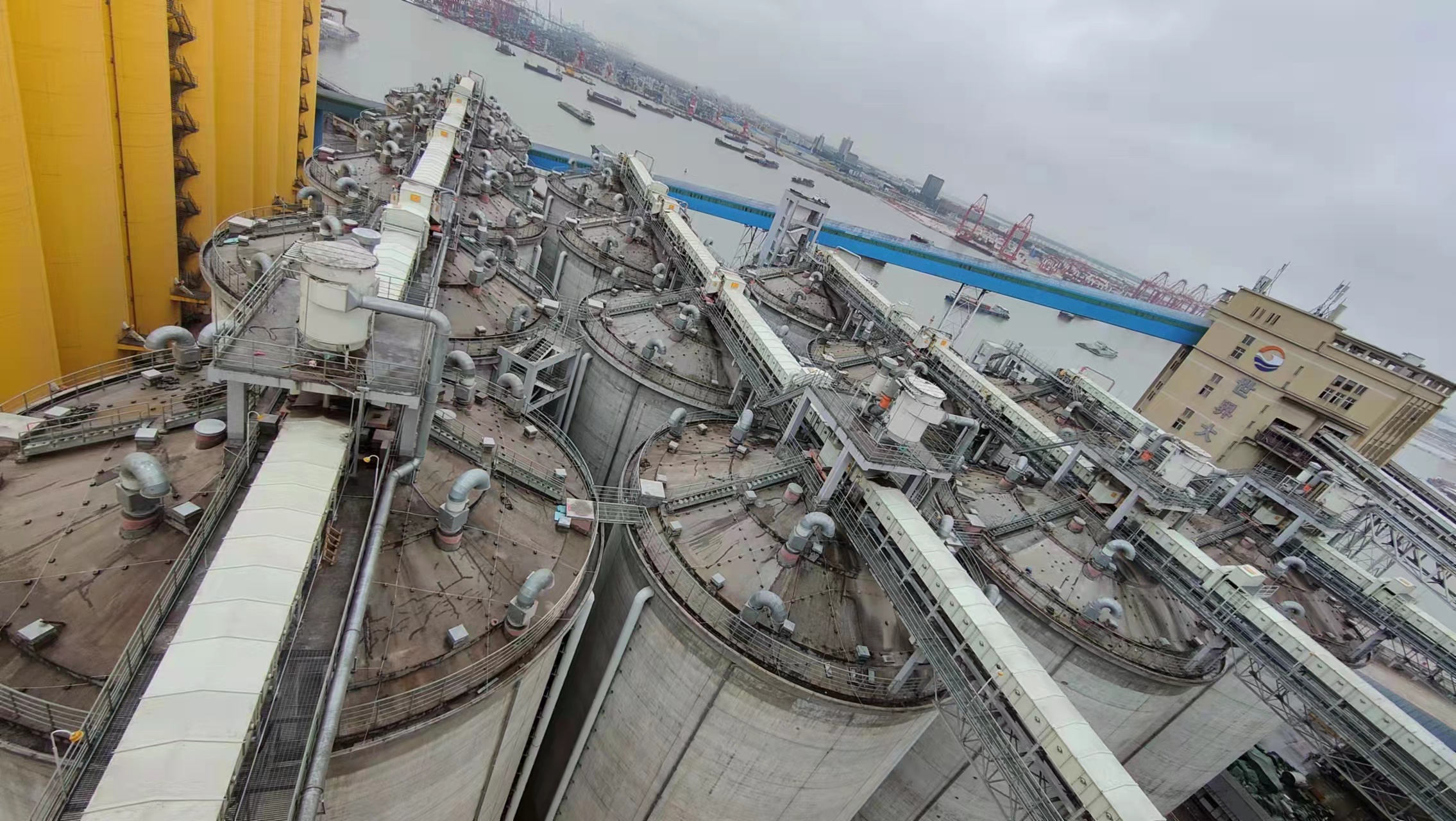 利马克3D雷达物位扫描仪在广州港南沙粮食筒仓和星仓的粮食库存管理应用(图17) 利马克3D雷达物位扫描仪在广州港南沙粮食筒仓和星仓的粮食库存管理应用(图17)